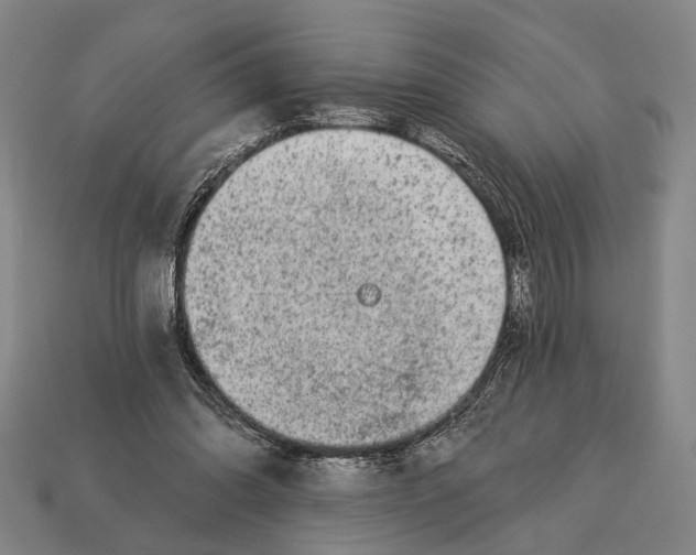 X0000112960302200909241205