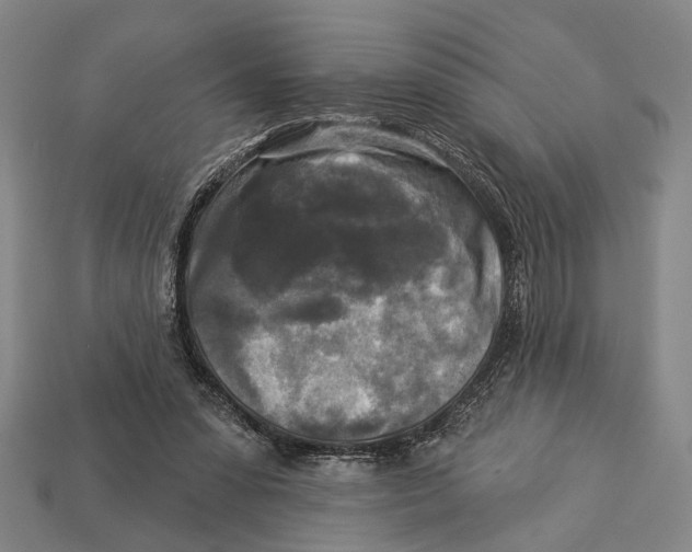 X0000112960303200909241205