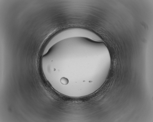 X0000112960304200909241205