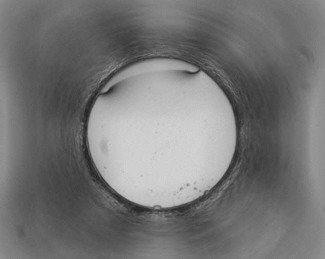 X0000112960305200909241205