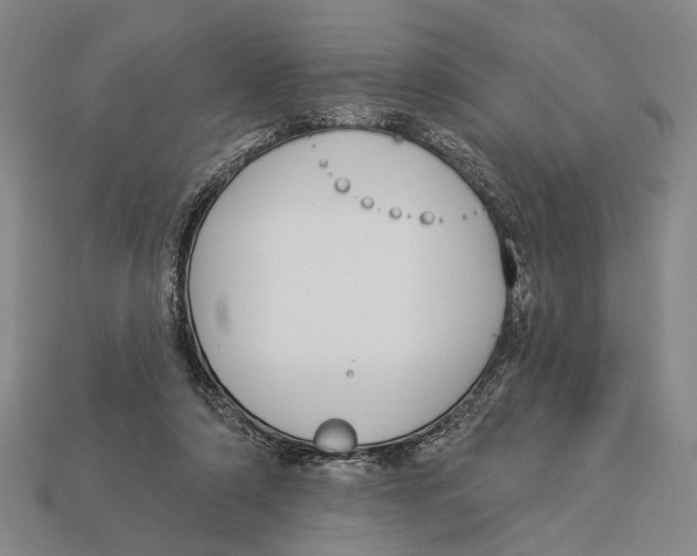 X0000112960306200909241205