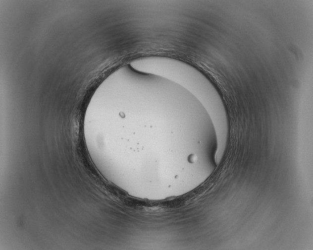 X0000112960309200909241205