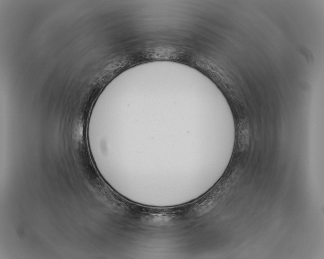 X0000112960310200909241205