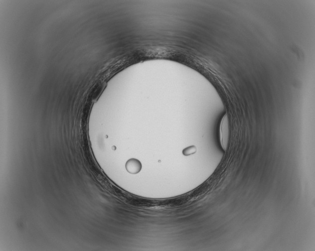 X0000112960312200909241205