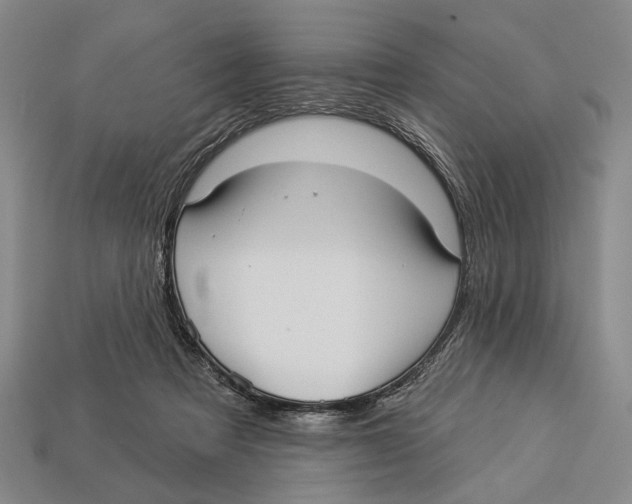 X0000112960313200909241205