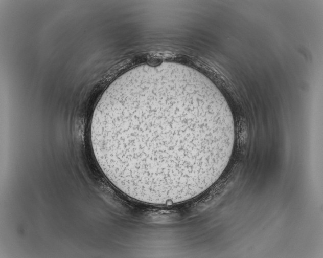 X0000112960315200909241205