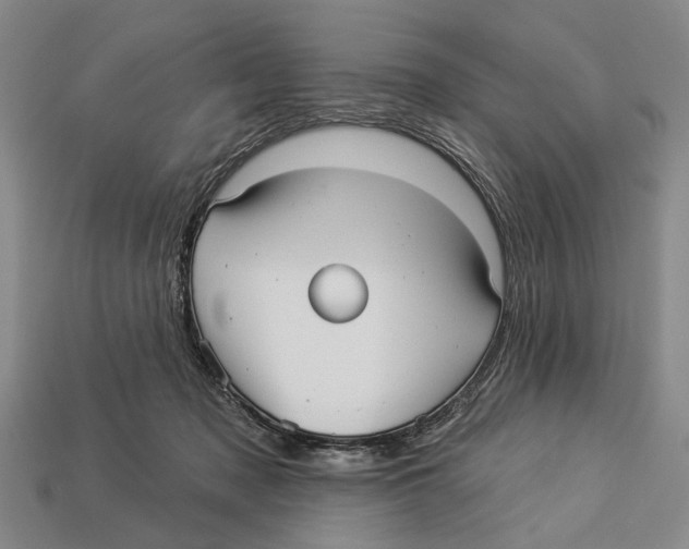 X0000112960317200909241205