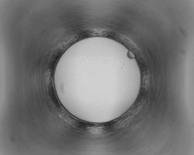 X0000112960318200909241205