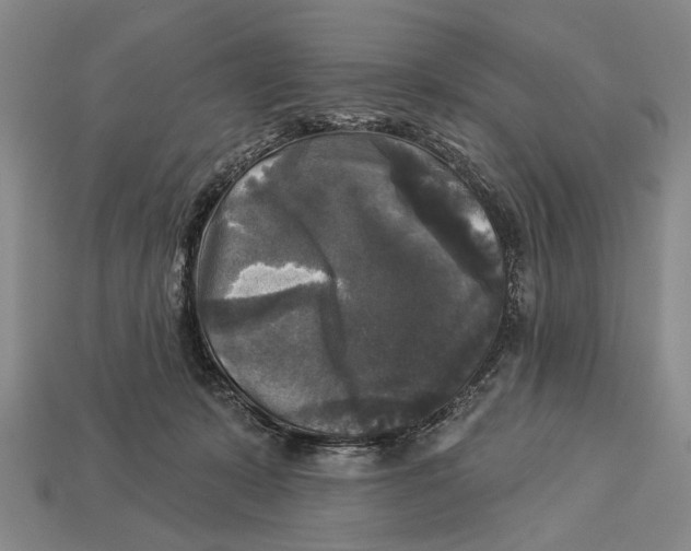 X0000112960319200909241205