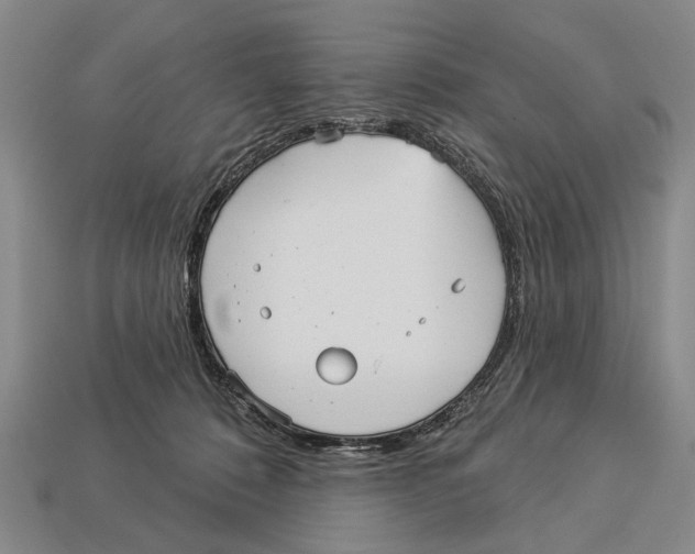 X0000112960320200909241205