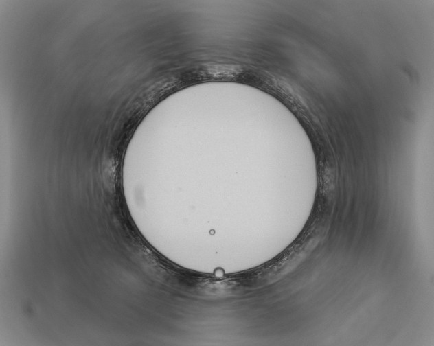 X0000112960321200909241205