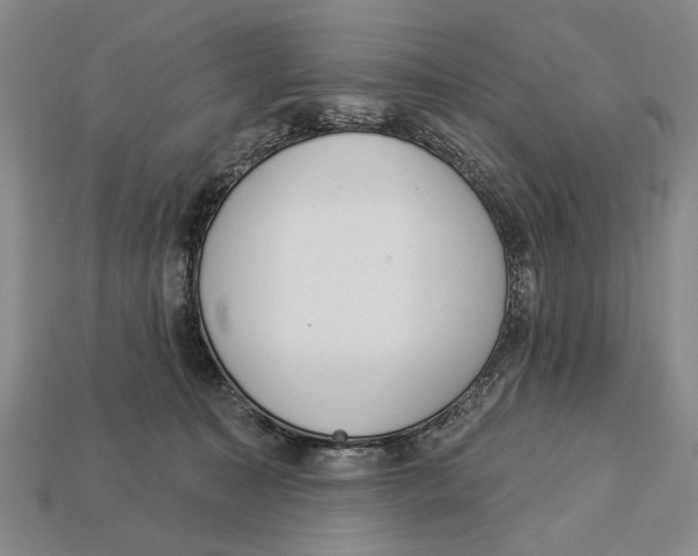 X0000112960323200909241205