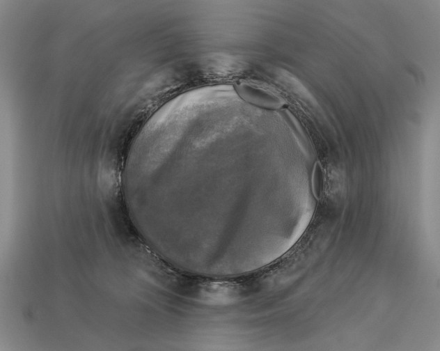 X0000112960324200909241205