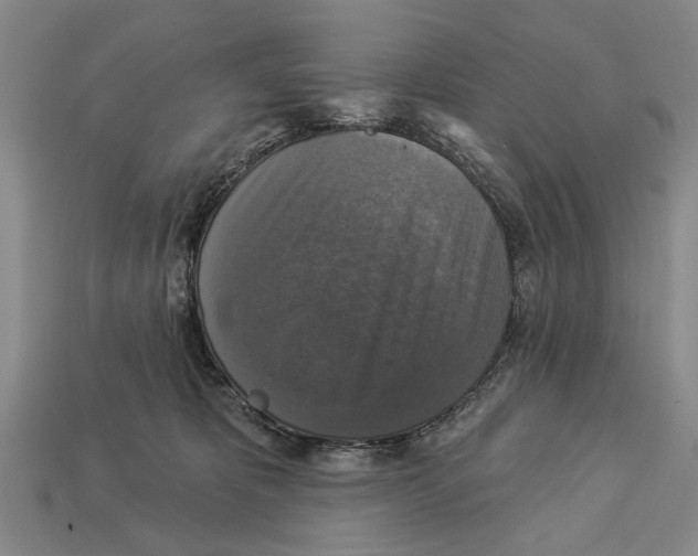 X0000112960325200909241205