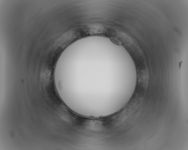 X0000112960327200909241205