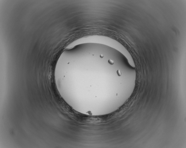 X0000112960328200909241205