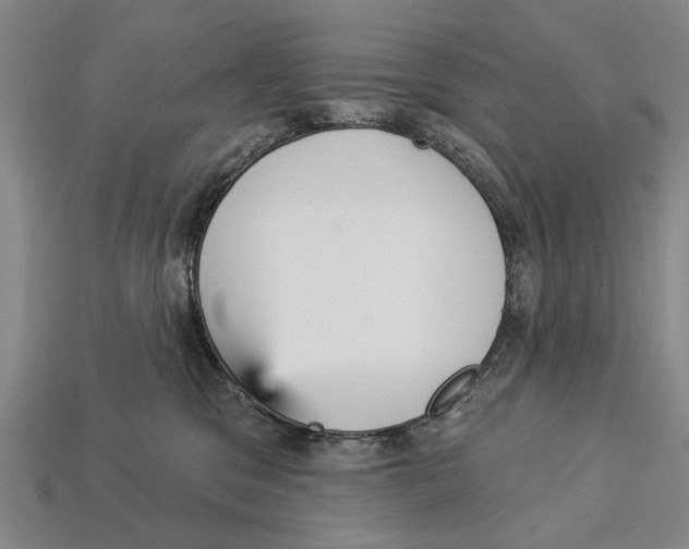 X0000112960329200909241205