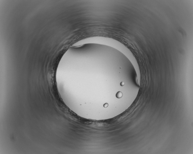 X0000112960332200909241205