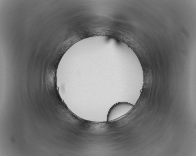 X0000112960334200909241205