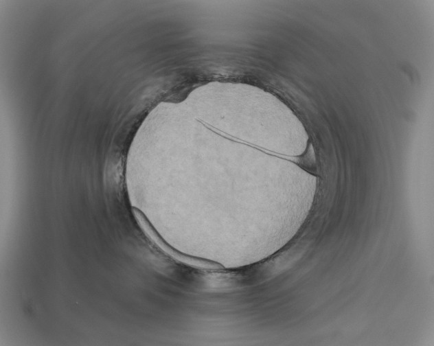 X0000112960336200909241205