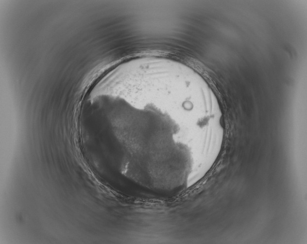 X0000112960337200909241204