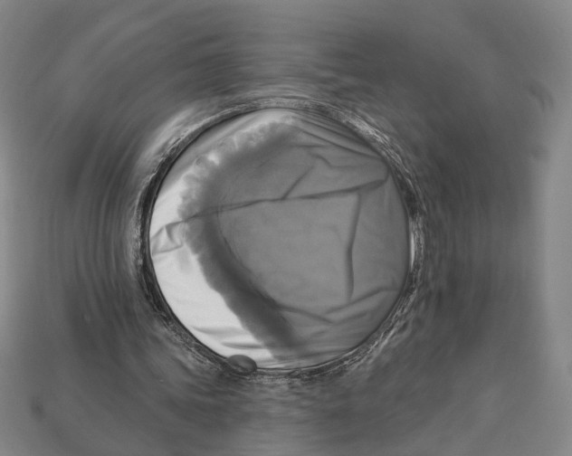 X0000112960339200909241204