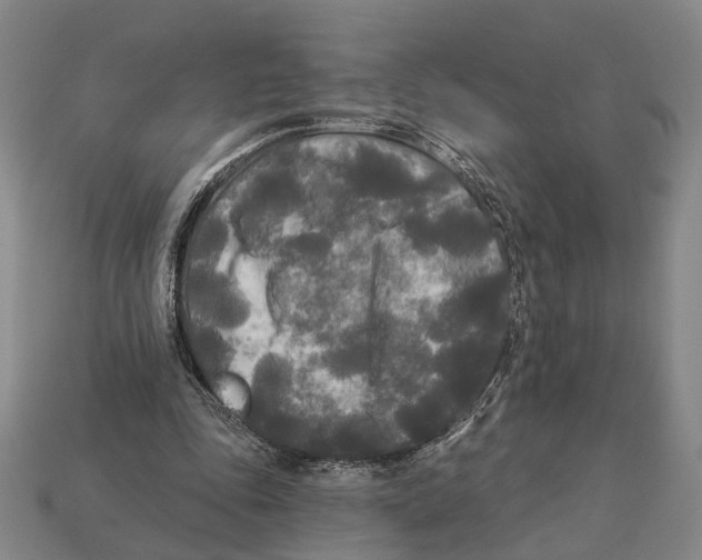 X0000112960343200909241204