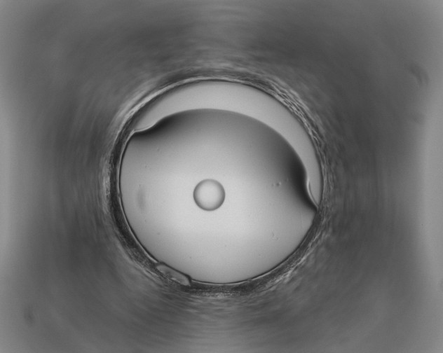 X0000112960344200909241204