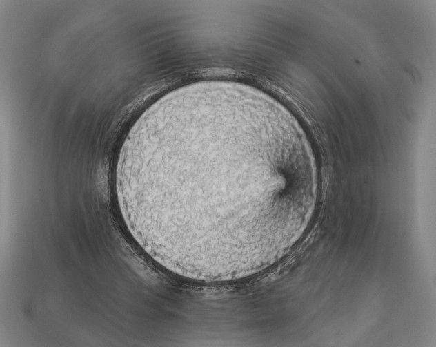 X0000112960345200909241204