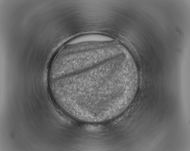 X0000112960346200909241204