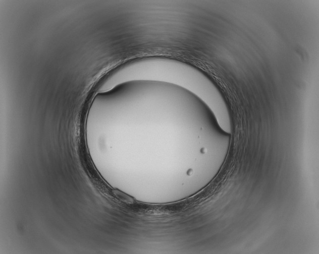 X0000112960348200909241204