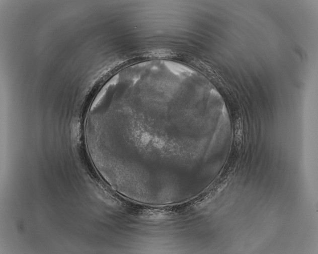 X0000112960351200909241204