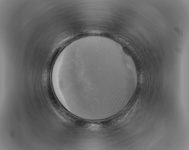 X0000112960352200909241204