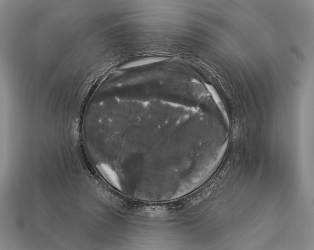 X0000112960353200909241204