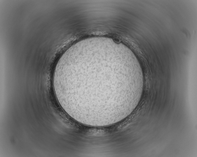 X0000112960354200909241204