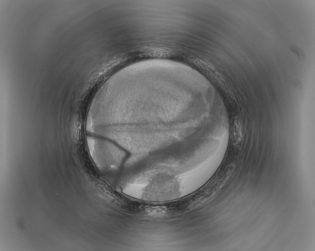 X0000112960355200909241204