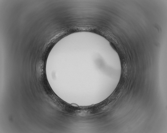 X0000112960356200909241204