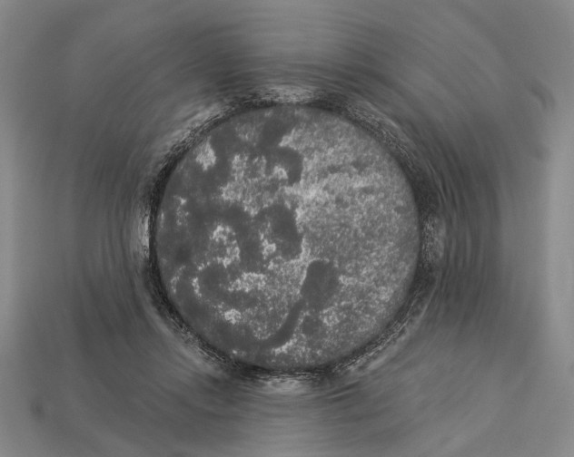 X0000112960358200909241204