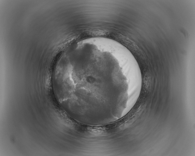 X0000112960359200909241204