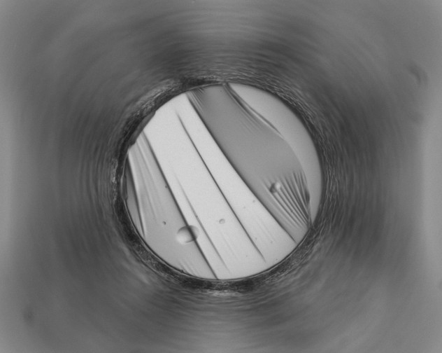 X0000112960360200909241204