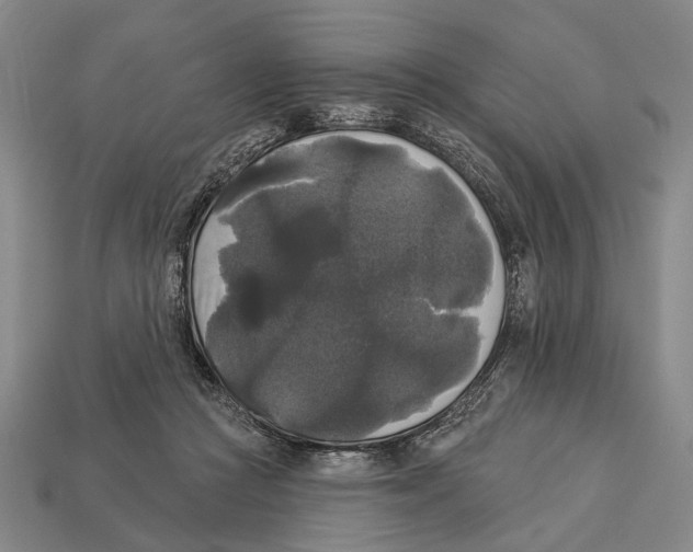 X0000112960361200909241204