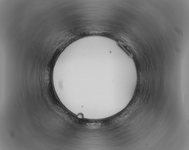 X0000112960362200909241204