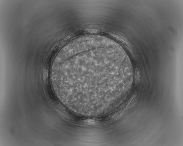 X0000112960365200909241204