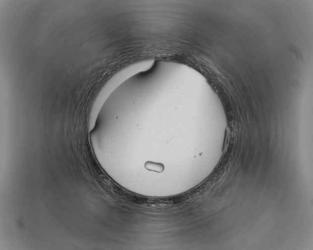 X0000112960368200909241204