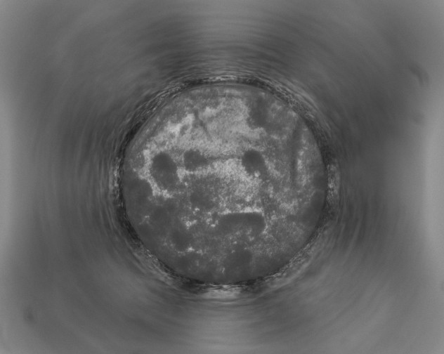 X0000112960369200909241204