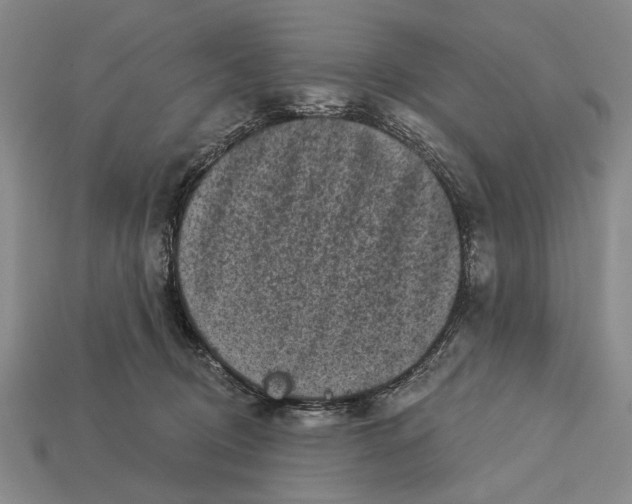 X0000112960370200909241204