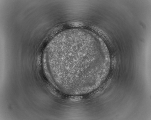 X0000112960373200909241204