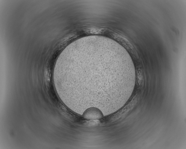 X0000112960374200909241205