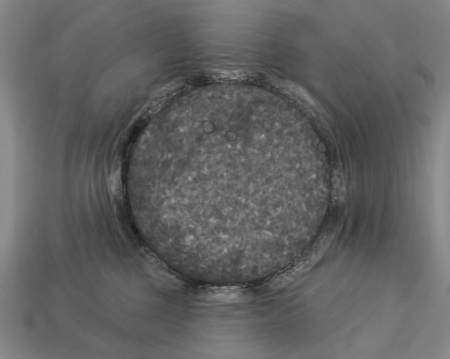 X0000112960377200909241205