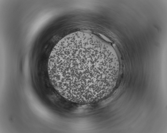 X0000112960382200909241205